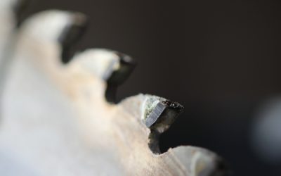 Come scegliere la lama giusta per la sega circolare (senza distruggere legno e macchina)