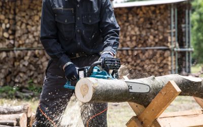 Sicurezza con banco sega, troncatrice (e non solo): le regole che fanno la differenza